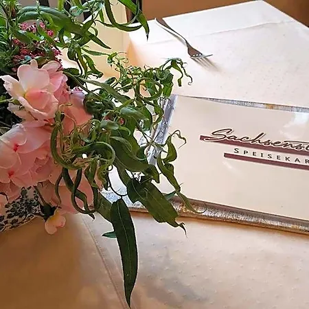 酒店 芮彻斯科奈酒店 海德瑙
